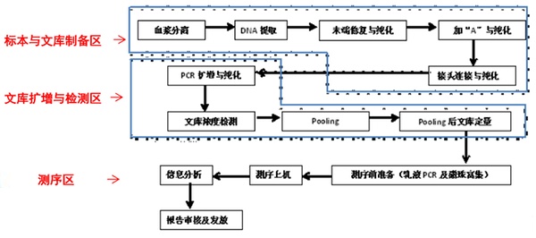 基因j9游会真人游戏第一品牌平面布局工作流程（www.zgth-d.com）