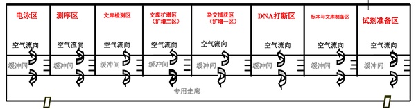 遗传病诊断+肿瘤诊断与治疗平面布局