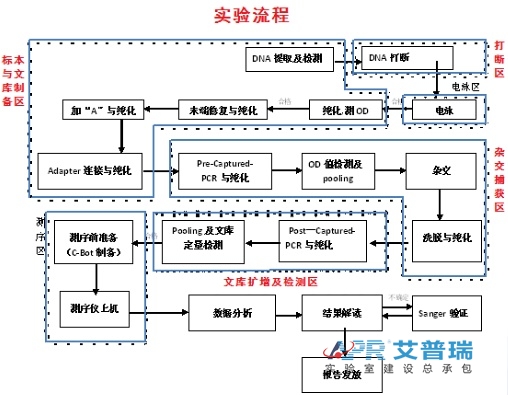 遗传病诊断+肿瘤诊断与治疗技术流程（www.zgth-d.com）