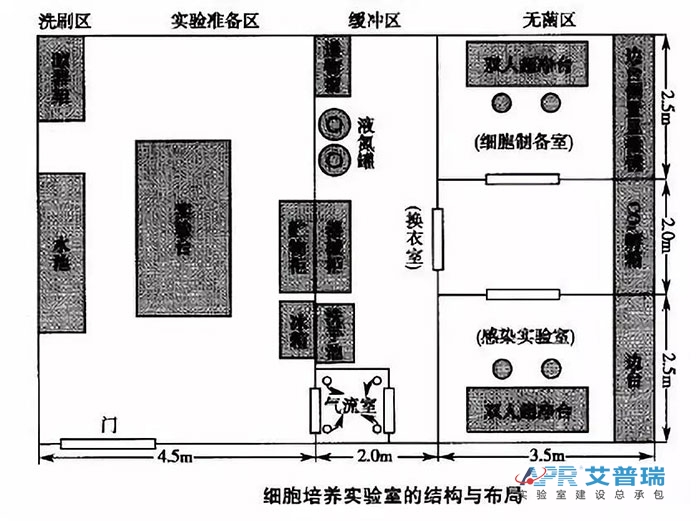 细胞培养j9游会真人游戏第一品牌的机构与布局