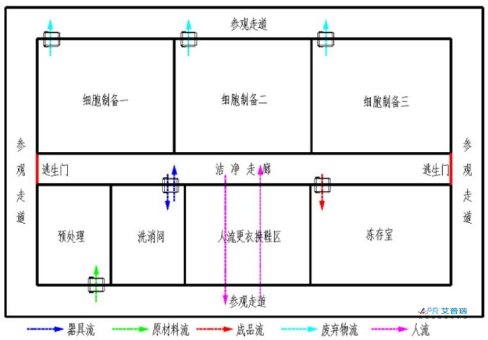 干细胞j9游会真人游戏第一品牌布局怎么设计？